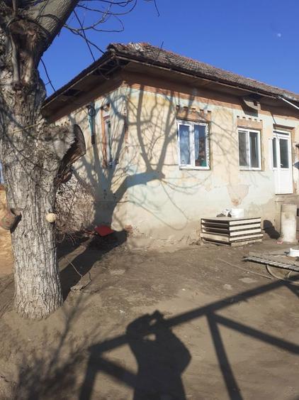 Casa de vanzare OSTROVENI URGENT - 2