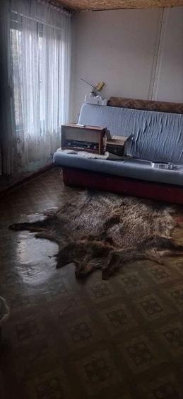 Casa autonoma energetic la 10min de molul din Arad - 2