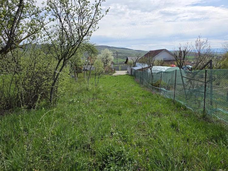 De vanzare teren intravilan 6704 mp Barsau, jud. Hunedoara - 5
