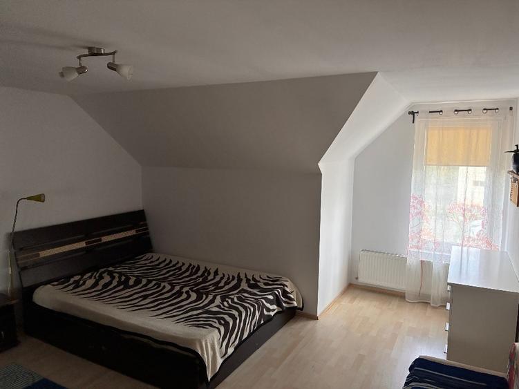 Vand casa individuala in zona Timisoara - 8