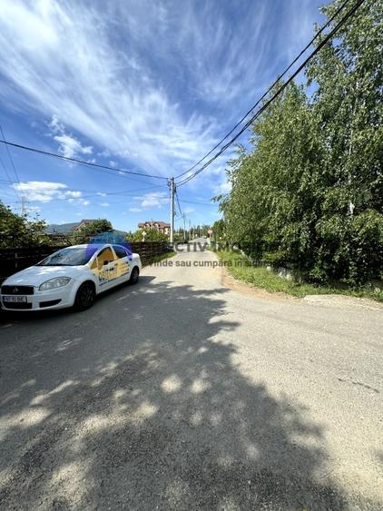 Teren Viisoara - comuna Alexandru cel Bun - 2