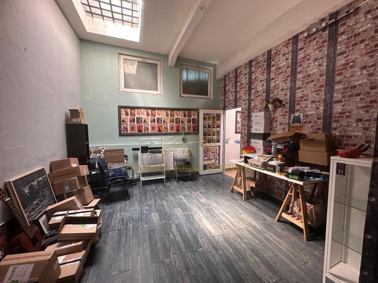 Vanzare - Proprietate cu Potential-Locuinta si Business - 37