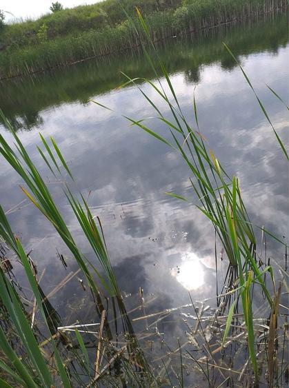 Vand/ Variante Teren intravilan in Hateg,langa Baraj , Prislop - 8