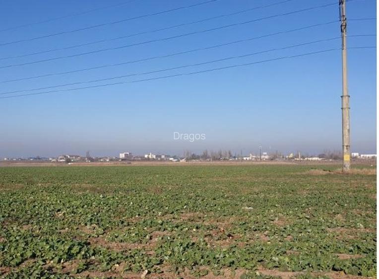 Teren intravilan 20.000 mp zona ANL Braila