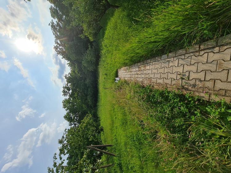 Buftea, Ilfov, centru, Iuliu Maniu 10 - 9