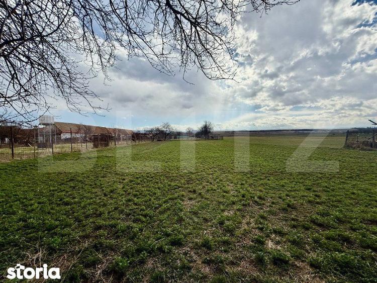 Casa ,4 camere, 255 mp, zona Balomir - 12