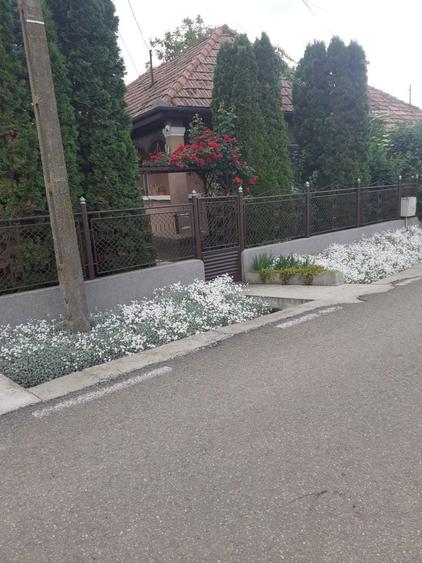 De vanzare casa in Com.Sanpaul - 2