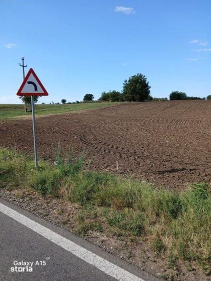Teren de 1300 mp, în Belciugatele