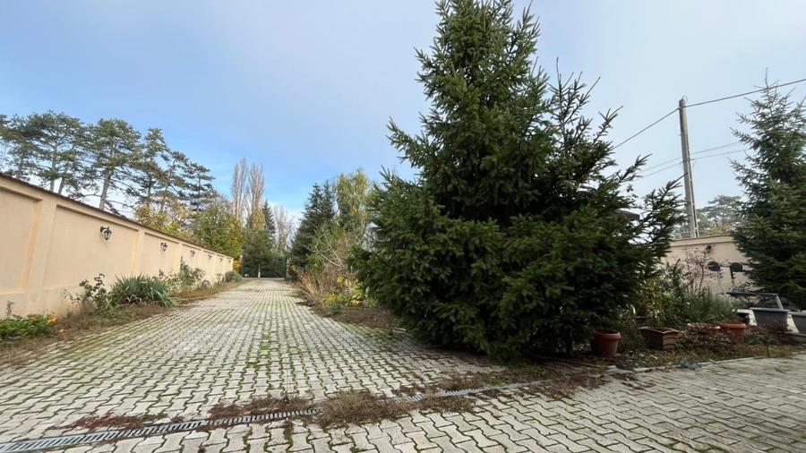 REV2005341 Vila deosebita cu piscina si teren generos Buftea zona exclusivista - 5