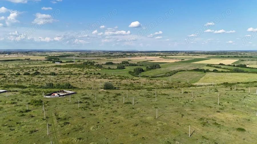 Terenuri zona MOSNITA NOUA - ALBINA . - 9