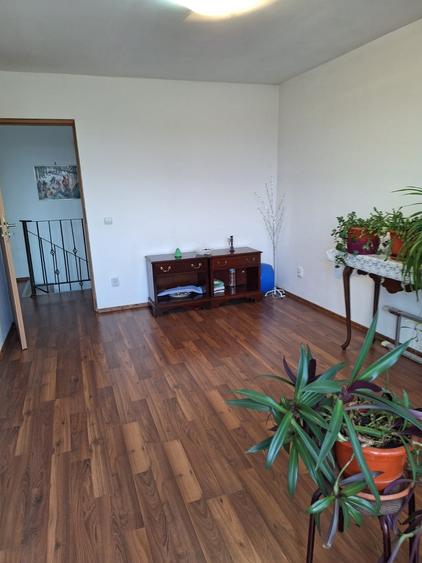 Vila individuala-la bulevard -Berceni IF - 8