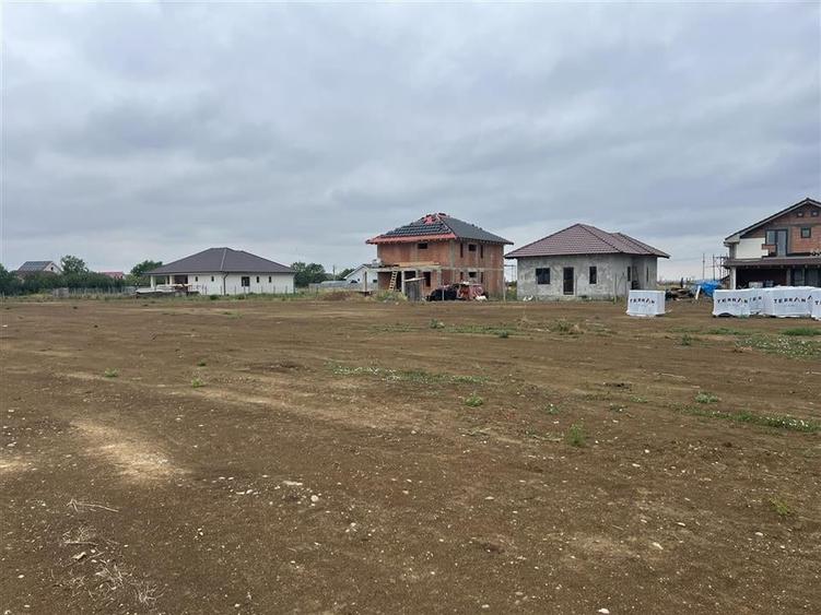 RECO teren Sanmartin - 3