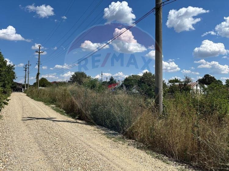 Teren intravilan 1.400mp Izvorani (IF), drum asfaltat, la 3 min de DN1 - 3