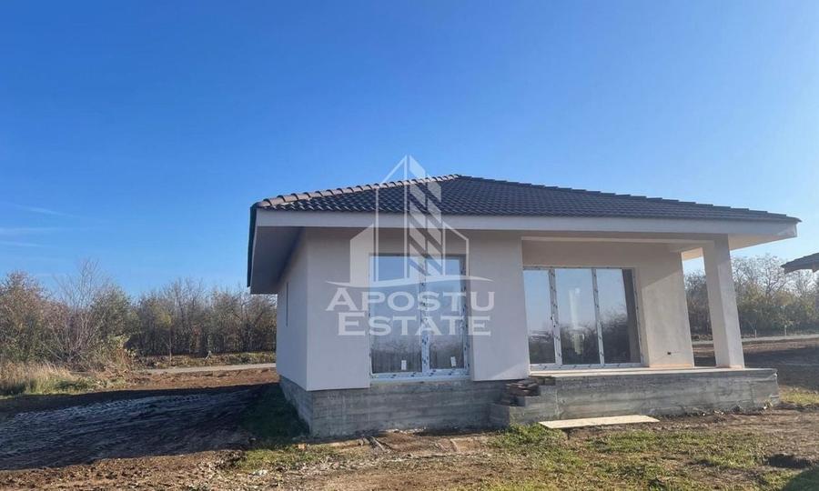 Casa individuala in Petrovaselo - 12