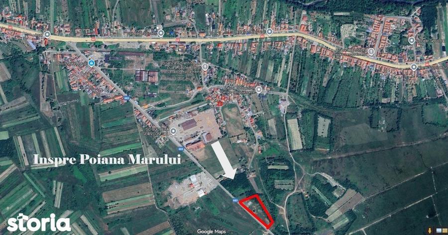 Teren intravilan cu funda?ie ?i fantana proprie, Zavoi Cara? - 4