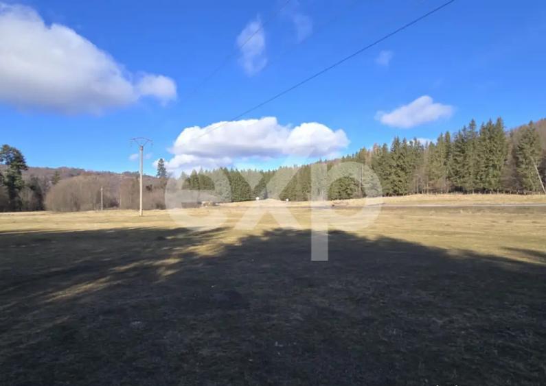 Teren extravilan 19.200 mp DN1A Sacele, Bradet | Front - 1