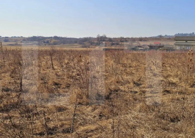 Teren intravilan 1558 mp cu PUZ zona Szalomer - 3