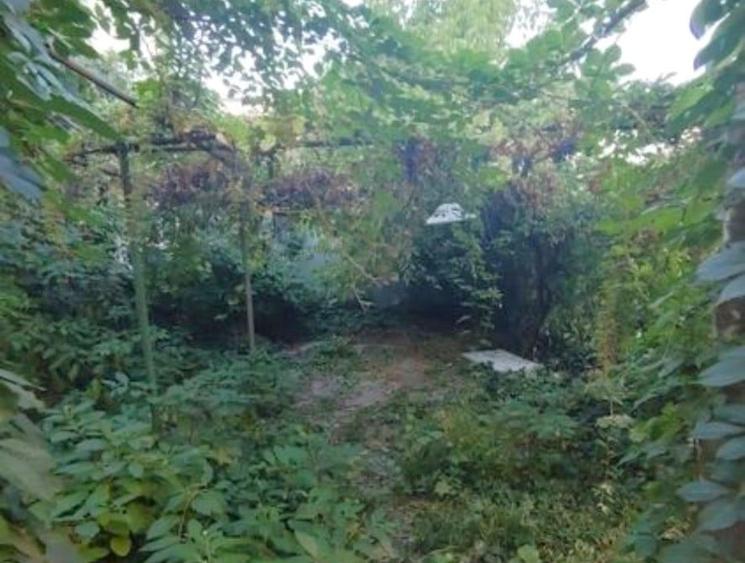 Vila cu arhitectura - 7