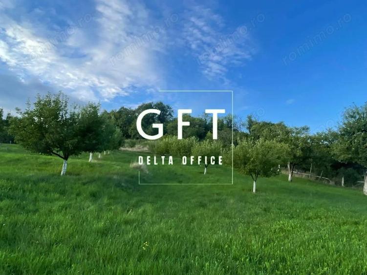 PARCELE TEREN INTRAVILAN 5-29.2 ARI - DOROLEA - 3