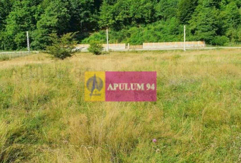 Teren Jude?ul Valcea - Brezoi, Valea lui Stan - 14