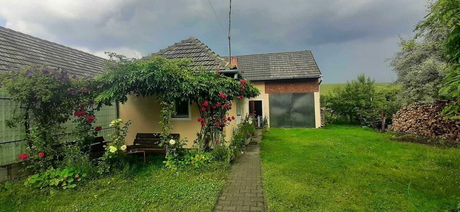 Doua case de vanzare, in aceeasi curte!!! - 6