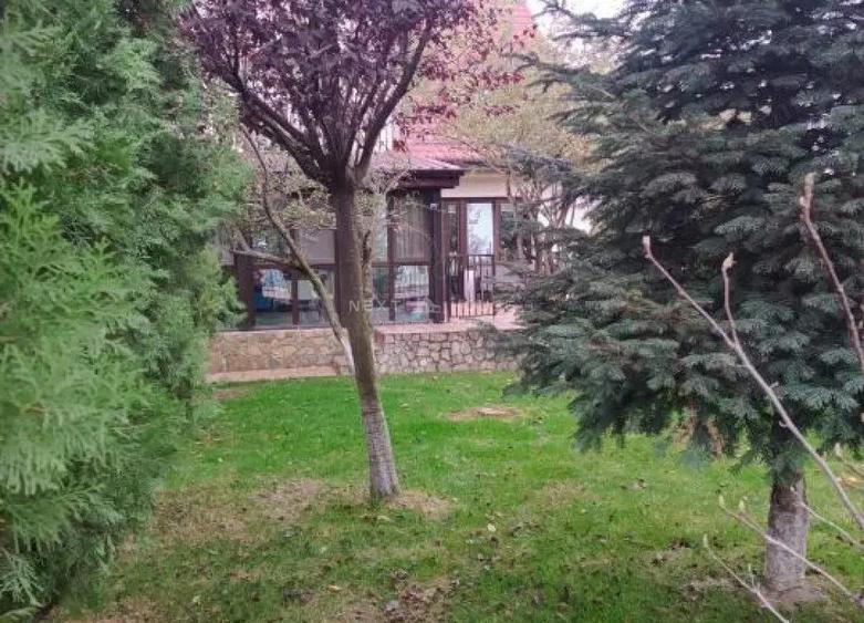 Casa 3 camere Domnesti - 2