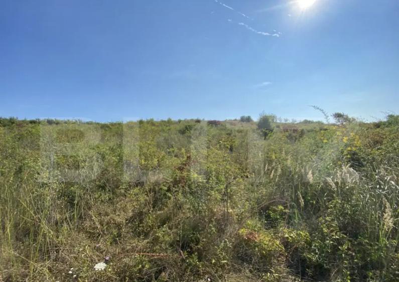 Teren intravilan/extravilan centura Zalau, 8200 mp - 1