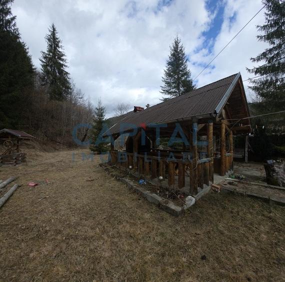 Cabana la munte Rucar / Satic - 7