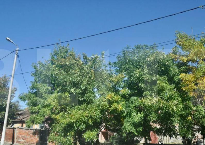 Vanzare Casa / Vila Giroc / Fratelia - 2