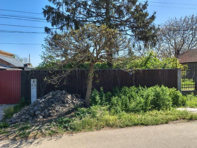 Moara Vlasiei, 320 MP, asfalt+utilitati, urbanism+avize - 35.000 EUR - 3