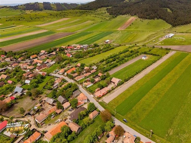 FILM! Pe 1.200mp teren, Rezidenta cu gradina inflorata,aproape de Tragu Secuiesc - 27