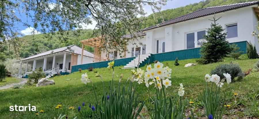 Proprietate speciala in Bran-Predelut cu 2 case - priveliste 180* - 5