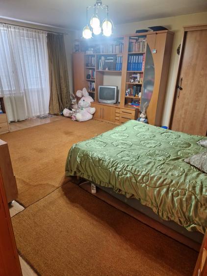 Casa la cheie mobilata si utilata cu 2500mp teren in oras - 12