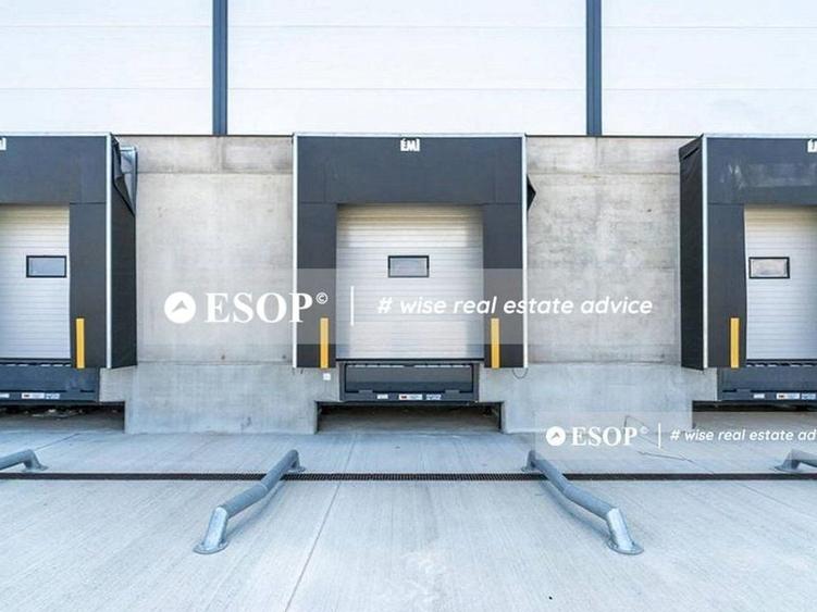 WDP Industrial Park Timisoara, spatii industrale, 2.500 - 25.000mp - 4