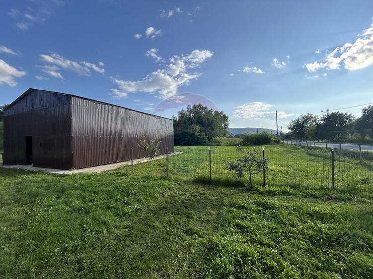 DE VANZARE: Hala industriala + teren generos intravilan - 9