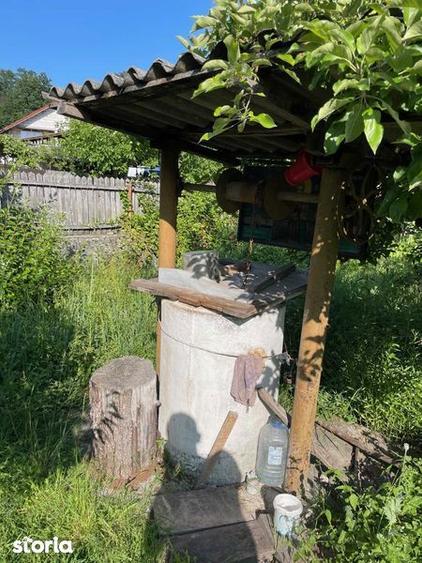 Vand Casa + teren 12.000 mp in Cernisoara, sat Modoia, Valcea - 6