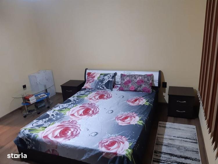 Casa 250 mp , P+M , 17 ari, Satu Nou de Jos , - 9