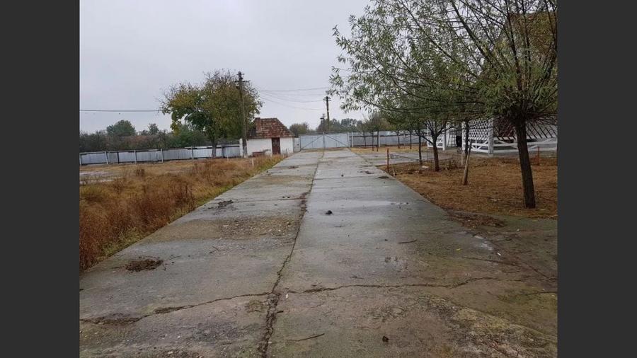 Ferma langa Oravita 5600 mp construiti si teren 24281 intravilan - 8