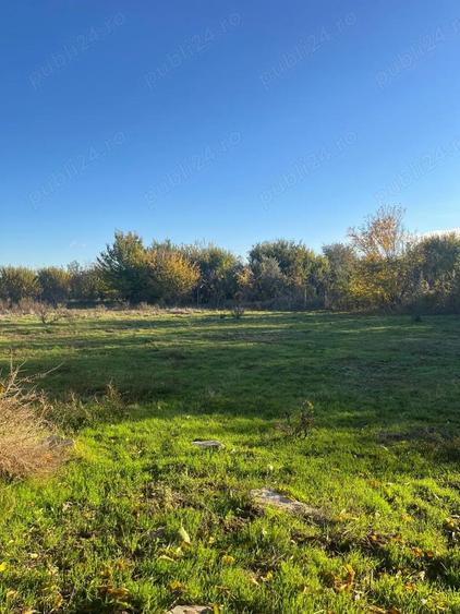 Casa pe malul Dunarii - 1