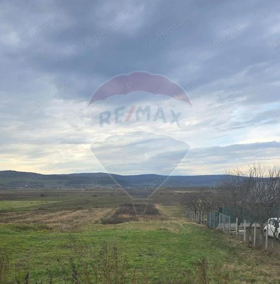 Teren intravilan si extravilan 8,282mp oras Negresti, judetul Vaslui - 2