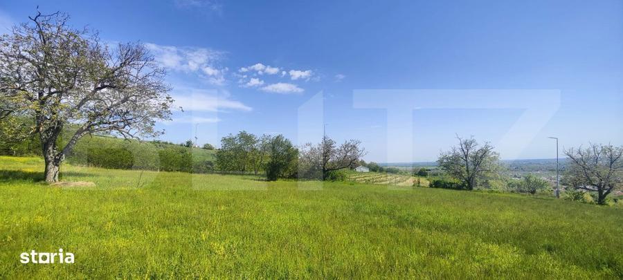 Teren Panoramic 15.500 mp Investitie sau Dezvoltare, Zona Aleea Ma - 8