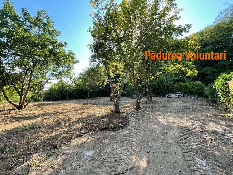 Vand teren la pădure,zona Matei Millo,Erou Mircea Marinescu,Voluntari - 2