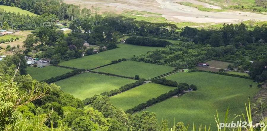 Teren de inchiriat in Betfia - 1