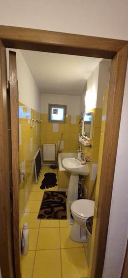 Luica - Garsoniera centrala proprie , ideal investitie - 9