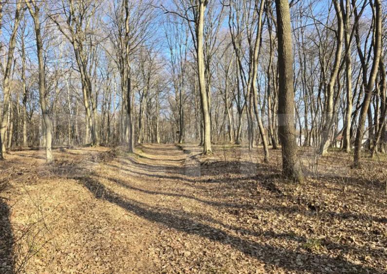 Teren cu sufrafata de 3000 mp in Padurea Faget - 3