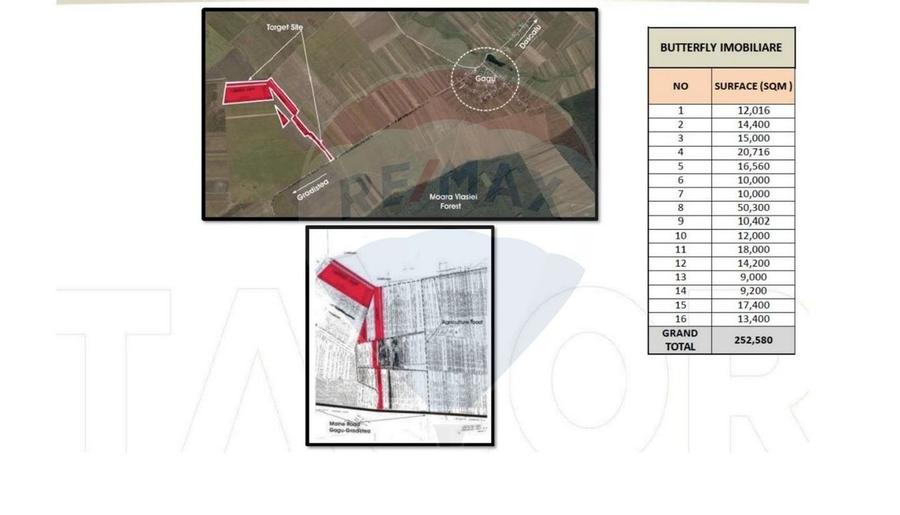 Teren 25.26ha Dascalu / DJ 200 - 5