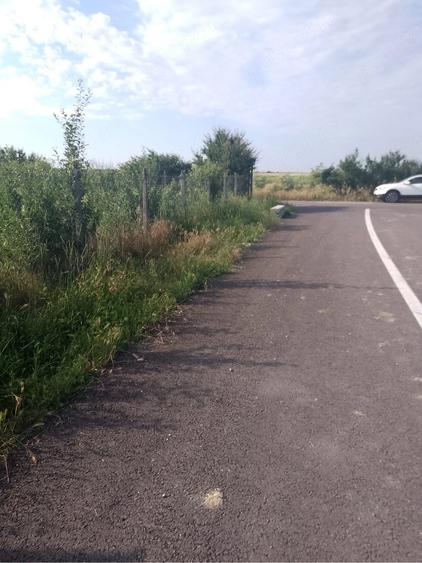 Teren de 1000 mp, în Măicănești