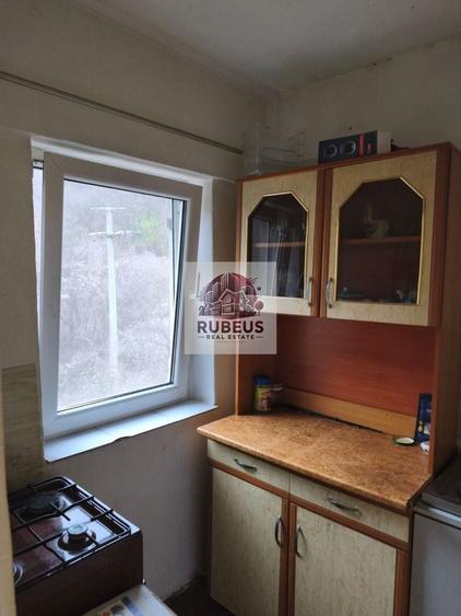 Garsonieră cu vedere la Parcul Natural, 100m de Dunăre - 4