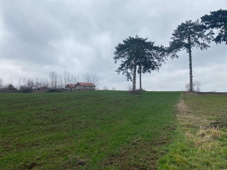 Comision 0%! Panorama superba, intravilan, 7631mp, front stradal 87m - 1