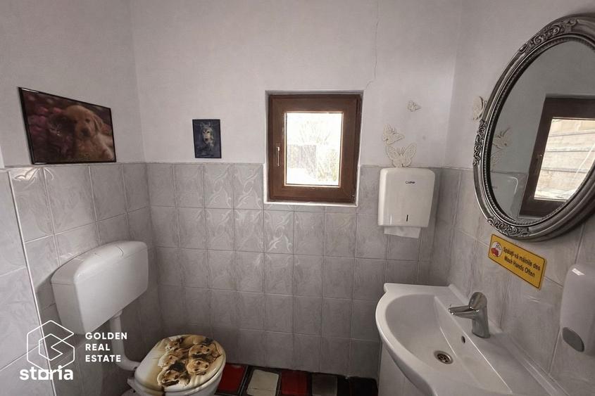 Spatiu comercial, 250 mp, pretabil loc joaca copii, zona Boul Rosu - 9